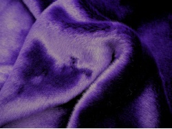 purple_tiss_2