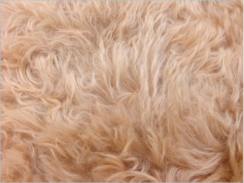 Schulte Carley Pink Beige 40mm Mohair 14