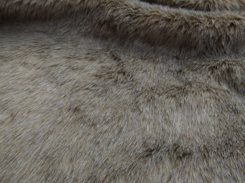 460698_grey_squirrel_2