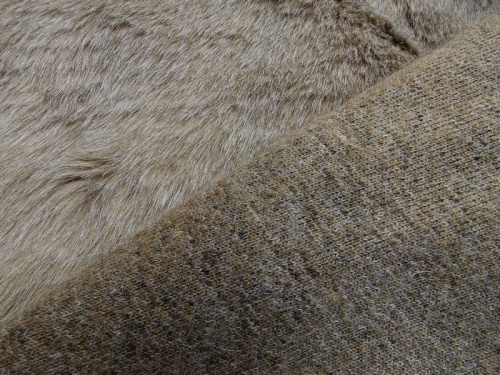 460698_grey_squirrel_4