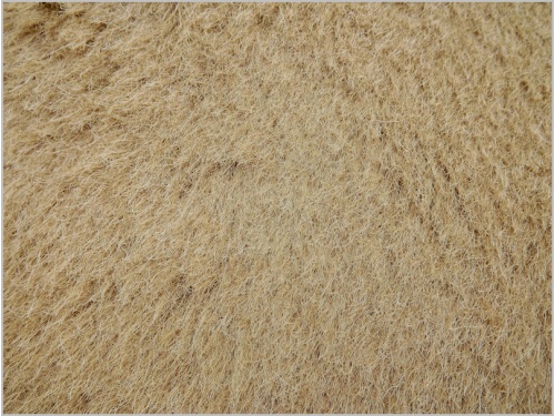 Light Blonde Brown Lush Alpaca 22mm pile 62