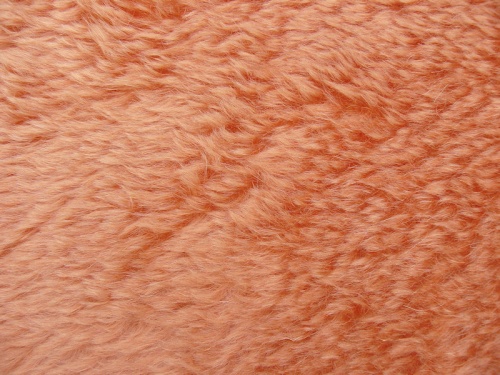 5482_salmon_1
