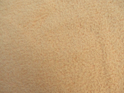 alpaca_30220_5271_1