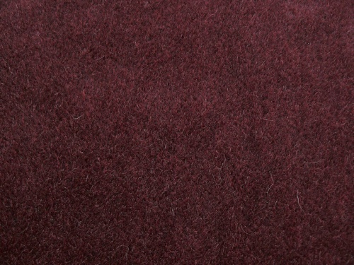 alpaca_6542_1
