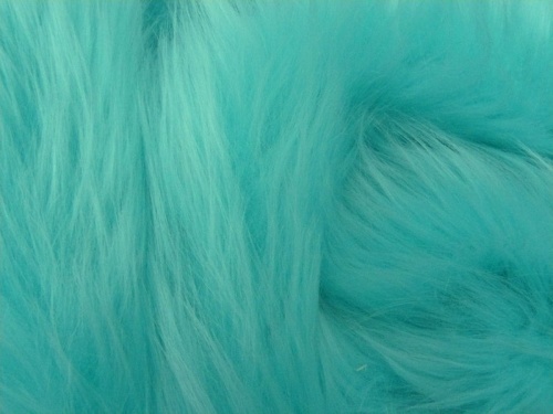 aruba_shag_1