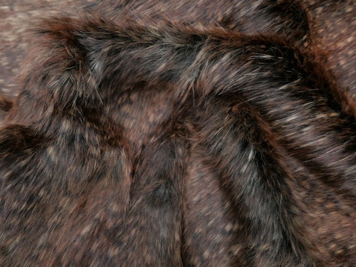 darkbrown_peacock_2