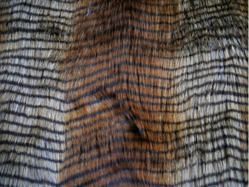 feathered_ombre_beige_1