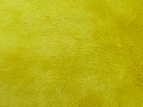 flo_yellow_1