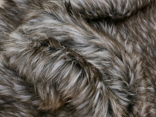 grey_wolf_2