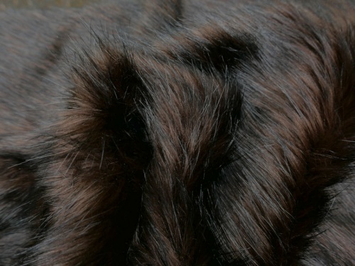 grizzly_2