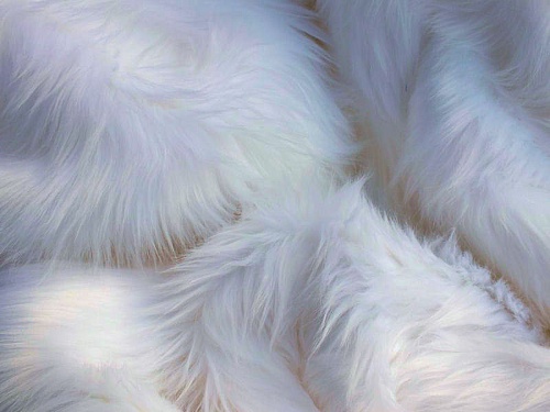 Ivory Luxury 60mm Shag Pile