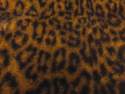 Leopard Tissavel 20mm pile O/G