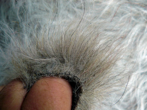 Medium Chinchilla  25-55mm pile