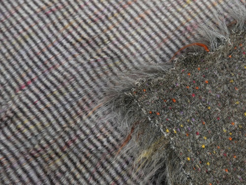 rainbow_peacock_3