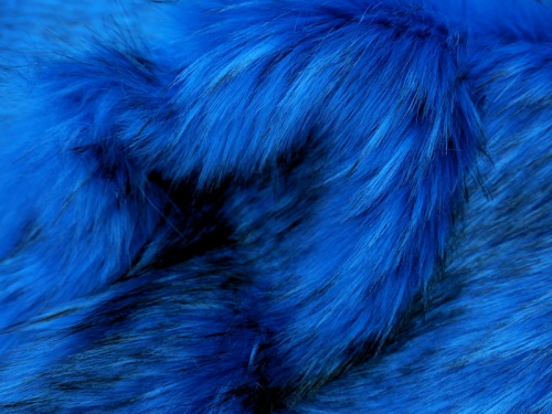 royalblue_fleck_2