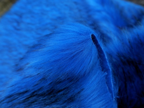 royalblue_fleck_4