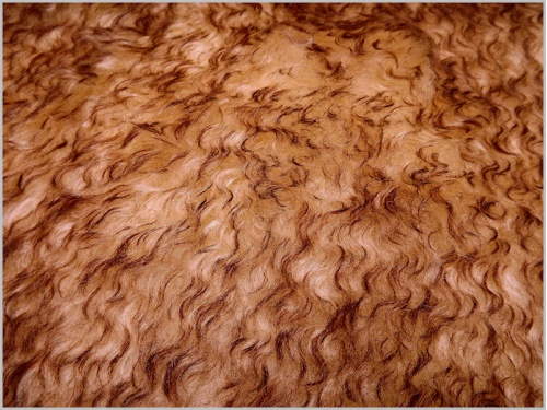 Schulte Cream Copper Tip 40mm Mohair - 76