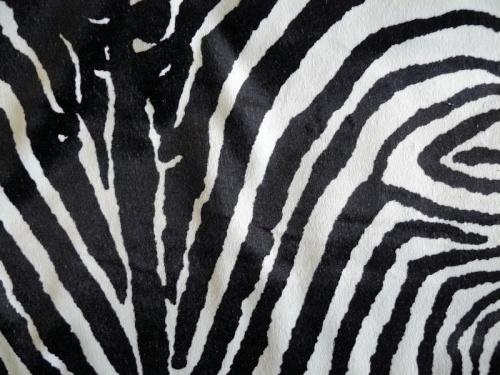 schulte_zebra_1