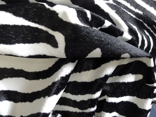 schulte_zebra_2