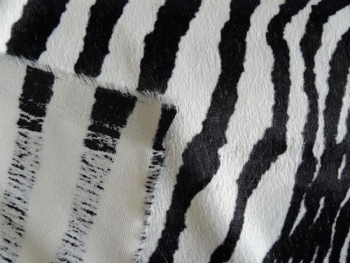 schulte_zebra_3