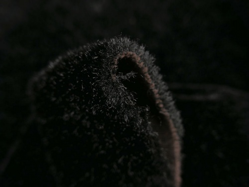 tyber_black_4