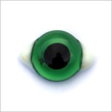 Bottle Green Transparent Glass White Corner Eyes