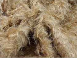 Schulte Carley Light Gold 40mm Mohair 12