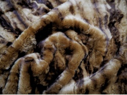crushed_sahara_2