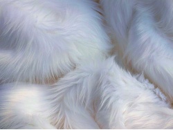 Ivory Luxury 60mm Shag Pile