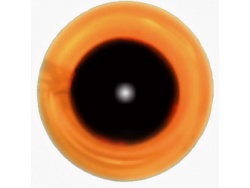 Amber Transparent Glass Eyes