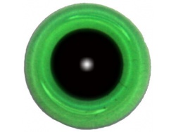 Bottle Green Transparent Glass Eyes