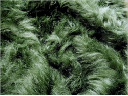 Moss Green 50mm pile  **NEW** LTD EDITION O/G