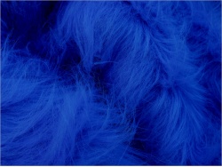 Royal Blue 25-70mm pile