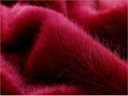 Crimson Mink 20-30mm pile 