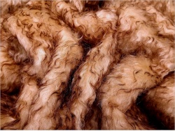 Schulte Cream Copper Tip 40mm Mohair - 76