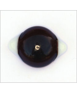 Dark Brown Transparent Glass White Corner Eyes