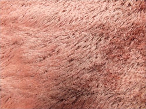 Helmbold 5/4 Dusky Pink 7mm Dense Mohair 