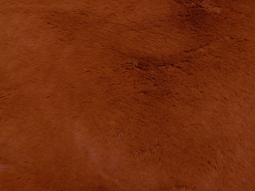 3105_bronze_1