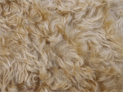 Schulte Carley Light Gold 40mm Mohair 12