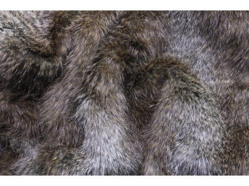 448620_brown_beaver_1