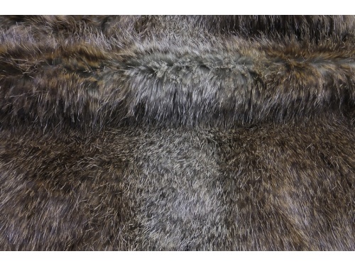 448620_brown_beaver_2