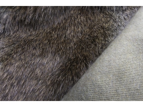 448620_brown_beaver_4