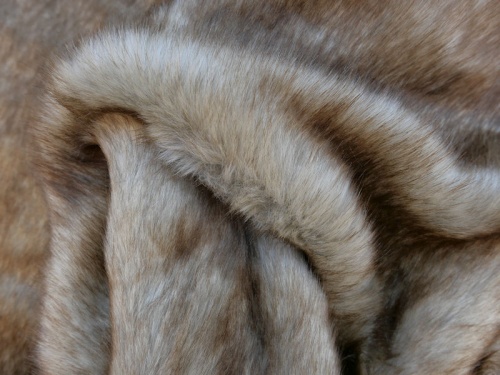 beige_browntip_1