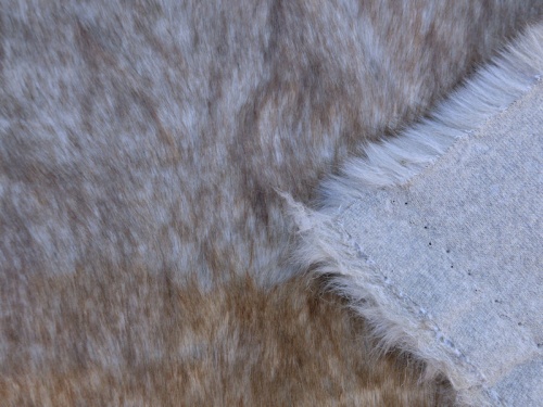 beige_browntip_3