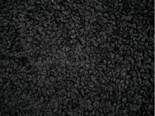 black_sheep_1_1317328746