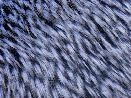 blue_flash_1