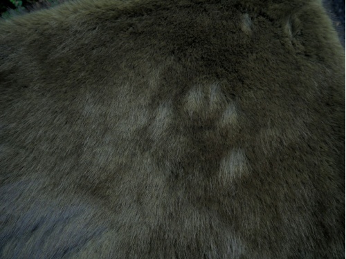 c2004-027_1