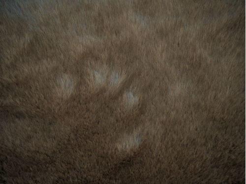 c2004-056_1