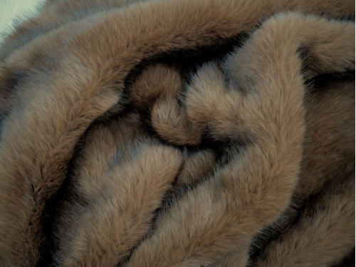 c2004-056_2