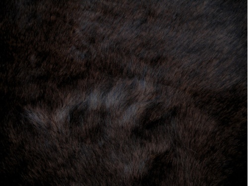 c2004-058_1